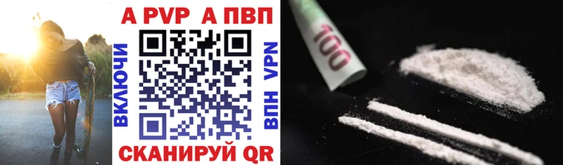 A PVP СК Сыктывкар