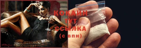 СК Алексин
