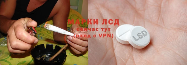стафф Алзамай