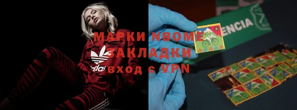 стафф Алзамай