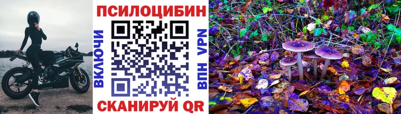 Галлюциногенные грибы MAGIC MUSHROOMS  Сыктывкар 